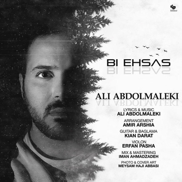 دانلود آهنگ جدید از علی عبدالمالکی به نام بی احساس